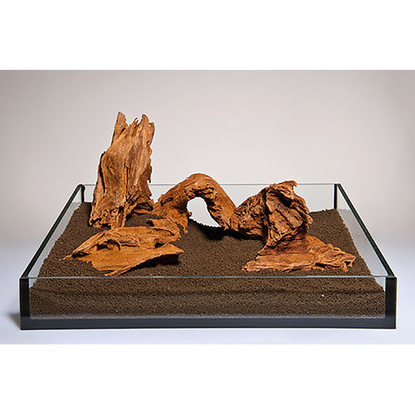 Aqua Deco Mangrove Tropik Ahşap Kırmızı Kahverengi 20-30cm M