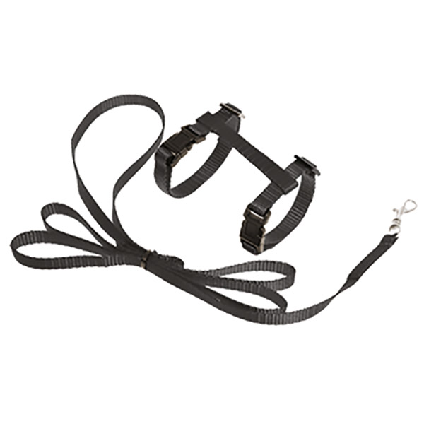 ASP YAVRU KEDİ GÖĞ+UZA TAS.GRİ