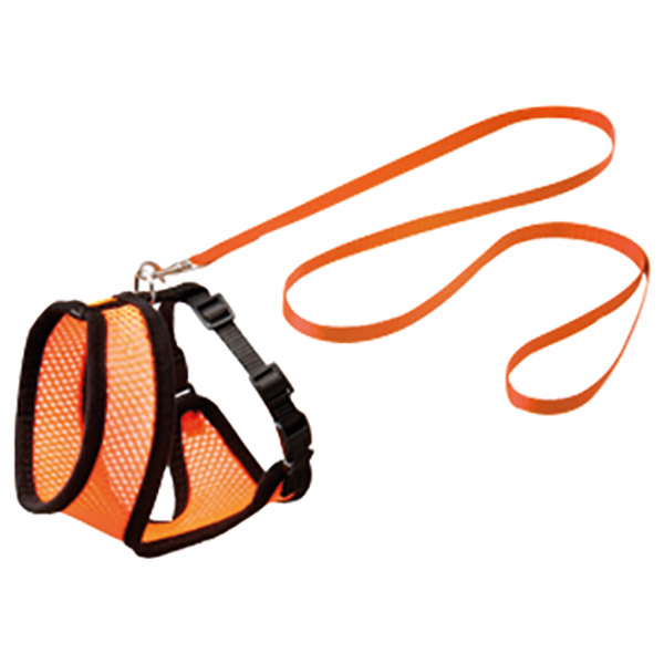 TURUNCU KEDİ FİLE GÖĞUS+UZATMA