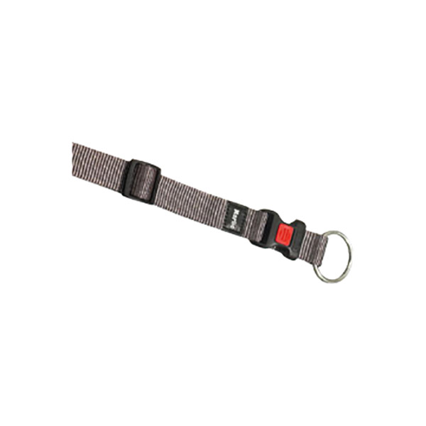 ASP KÖP.BOY.TAS.GRİ 30-45CM