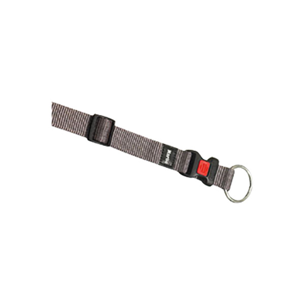 ASP KÖP.BOY.TAS.GRİ 40-55CM