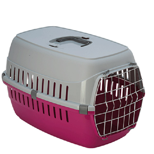 ROADRUNNER TASIMA 2 FUSYA