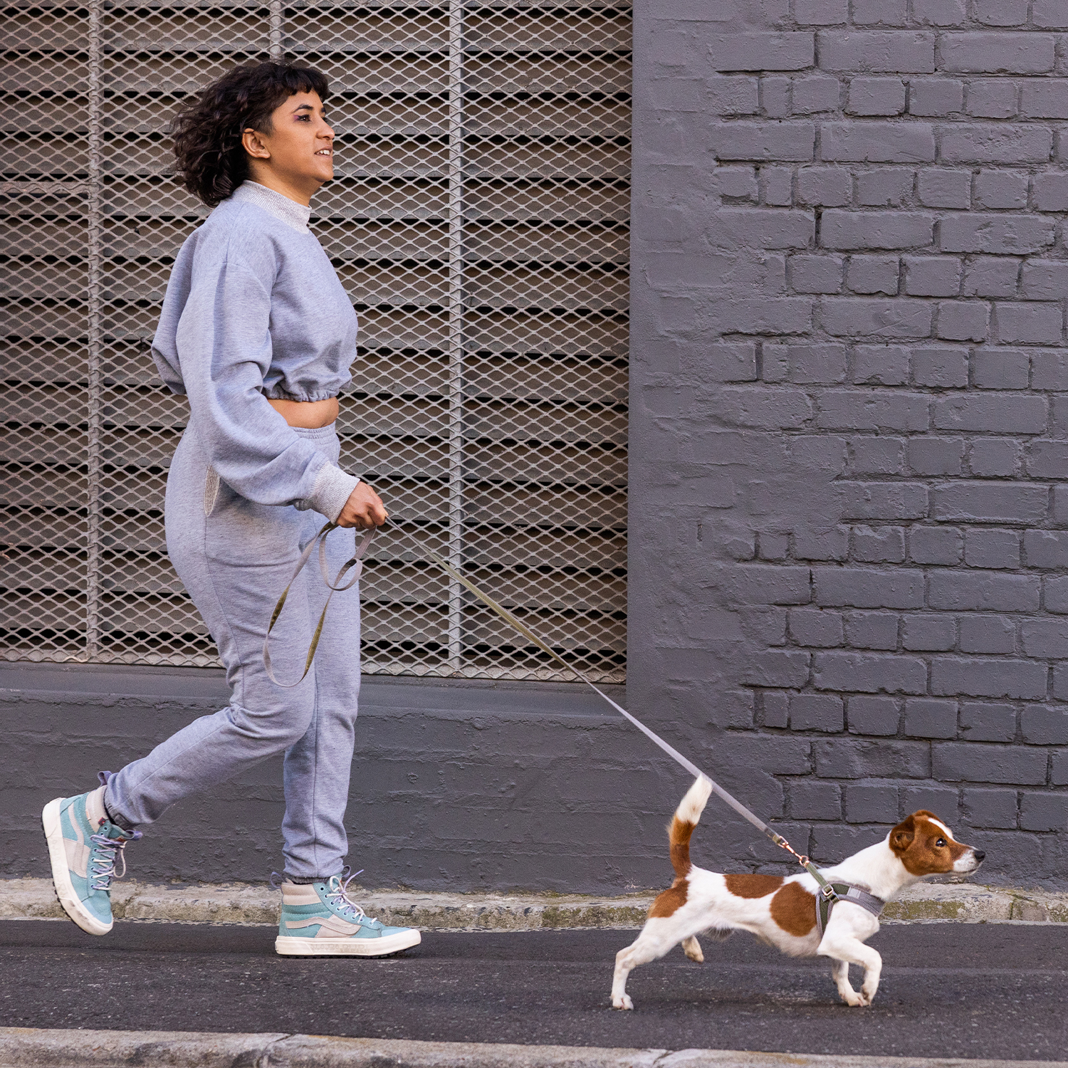 Rogz Urban Line Köpek Gezdirme Kayışı Large - Yeşil - Görsel 2