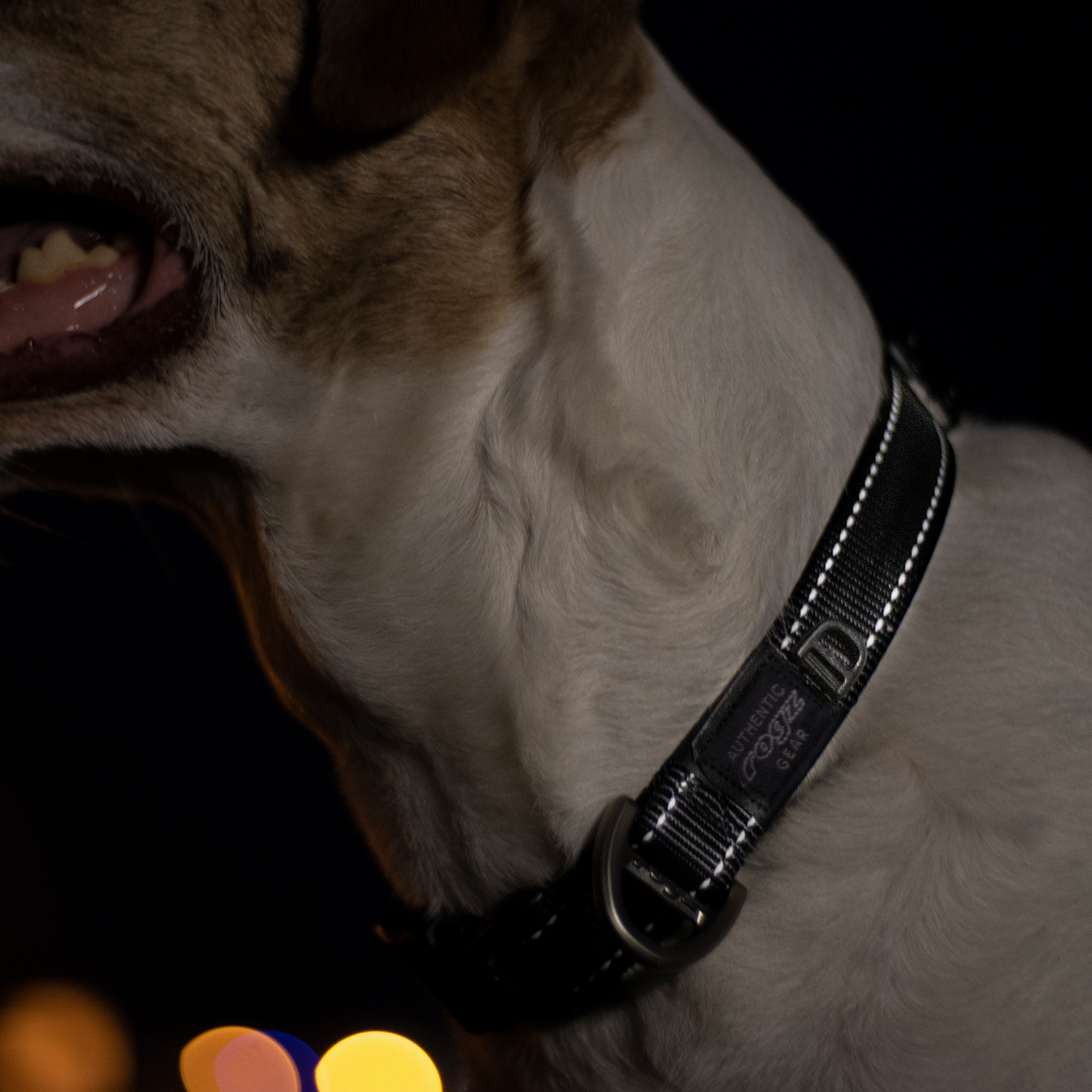 Rogz Utility Collar Köpek Boyun Tasması Large - Siyah - Image 2