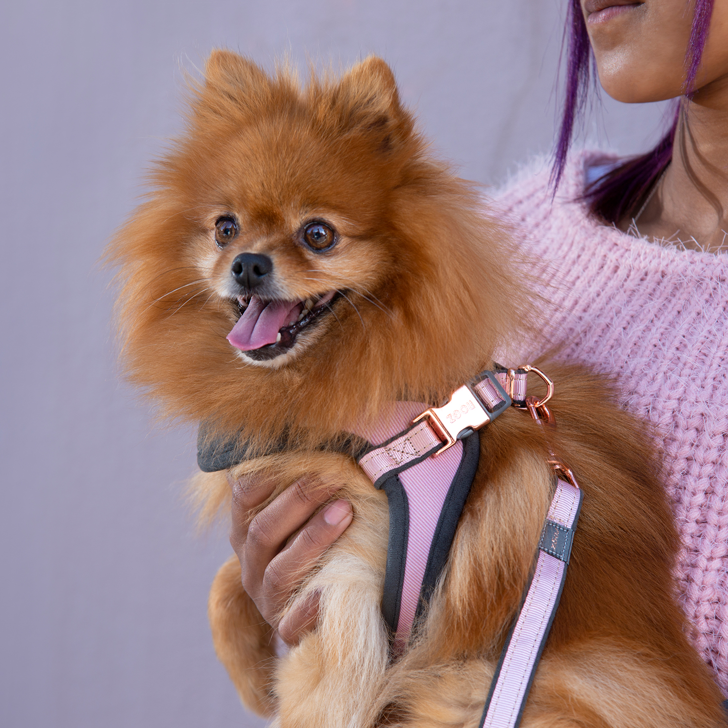 Rogz Urban Fast Fit Tuig Köpek Göğüs Tasması Xsmall - Pembe - Image 2